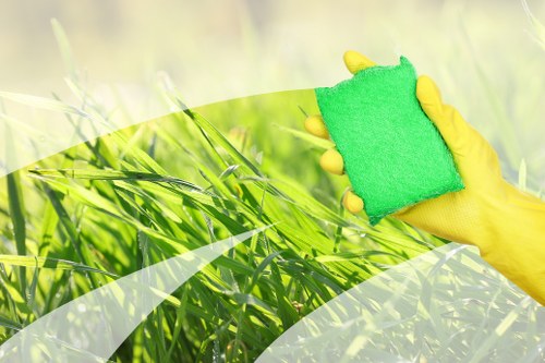 Professional carpet cleaner refreshing a living room carpet in Harringay