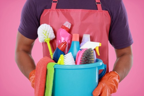 Professional carpet cleaning service in Harringay living room