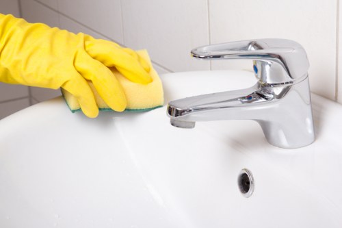 Eco-friendly cleaners in Harringay using safe cleaning products