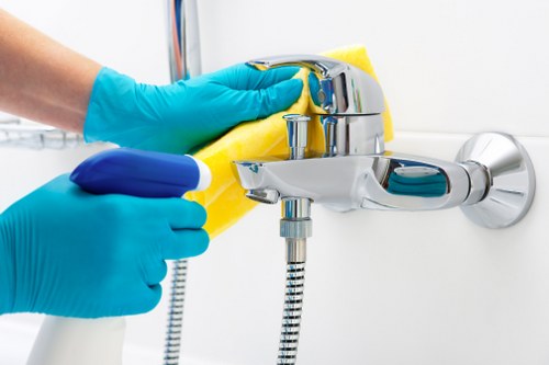 Detailed cleaning approach from Harringay Cleaner focused on hygiene and care