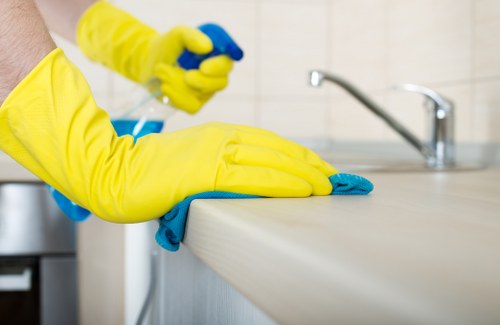 Kitchen appliance cleaning service in Harringay for a spotless oven