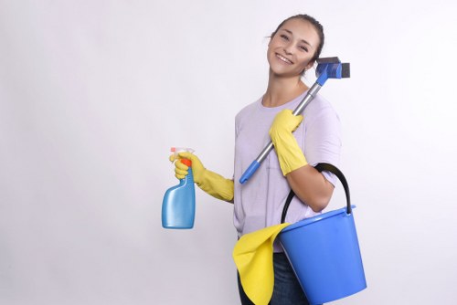 Regular home cleaning in Harringay with polished surfaces