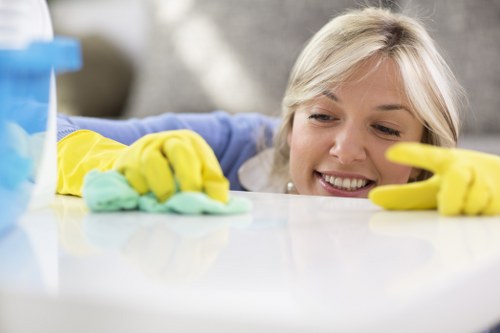 Professional cleaning in Harringay for a fresh home environment