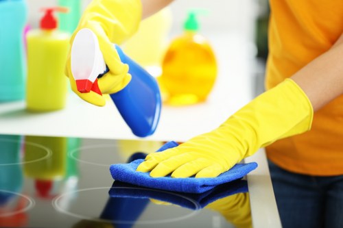 Cleaner handling service documentation and access arrangements