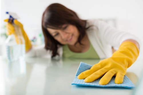 Local Harringay oven cleaner removing burnt-on residue from oven interior