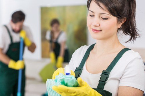 Cleaning company in Harringay offering domestic and deep cleaning