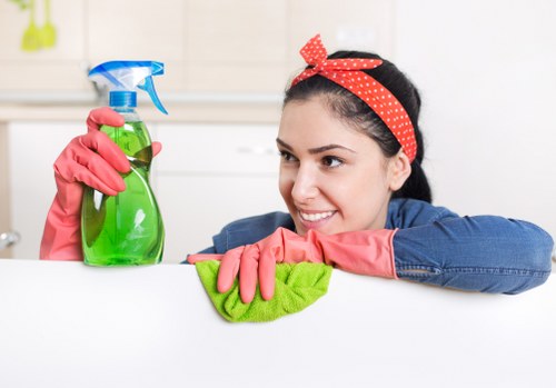 Domestic cleaner in Harringay dusting and sanitizing surfaces