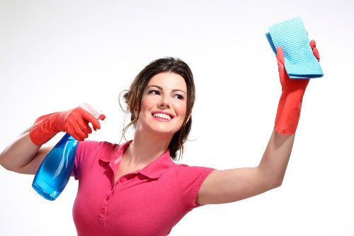 SSL-encrypted Harringay Cleaner payment process for customer security