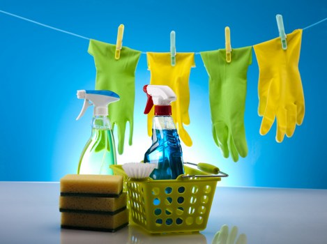 Local cleaner in Harringay maintaining a clean and organized commercial space