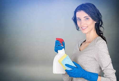 Upholstery cleaning equipment used for fabric sofas in Harringay homes