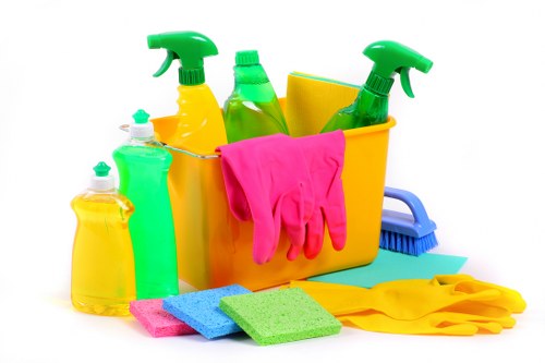 Deep carpet cleaning equipment in a Harringay home